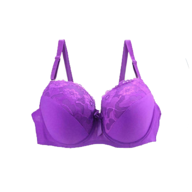 Picture for category Women's Bra