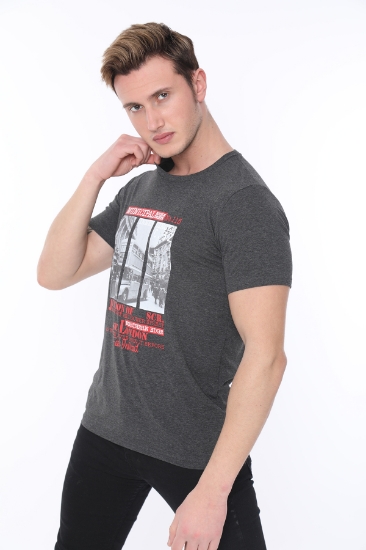 Picture of SCR T- Shirt Gray - 11882