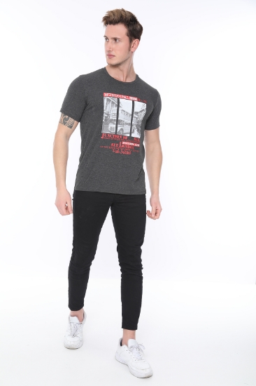 Picture of SCR T- Shirt Gray - 11882
