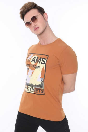 Picture of SCR T- Shirt Light Brown - 11713
