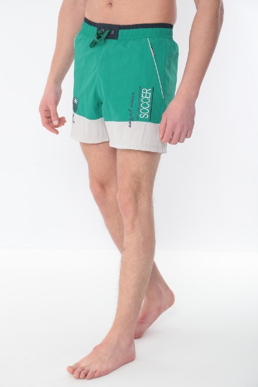 Picture of SCR Beach Shorts - Green 615