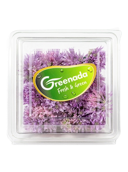 Picture of Greenada - Onion Blossom