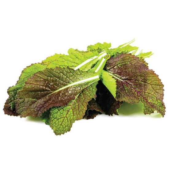 Picture of Greenada - Red Mustard Leaf