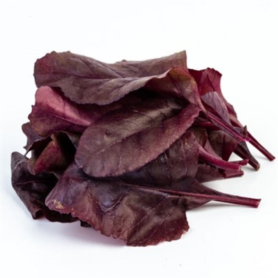Picture of Greenada - Red Beet Leaf