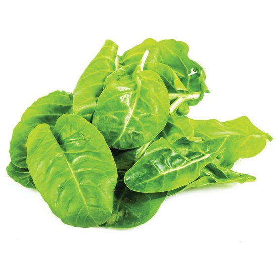 Picture of Greenada - Green Beet Leaf