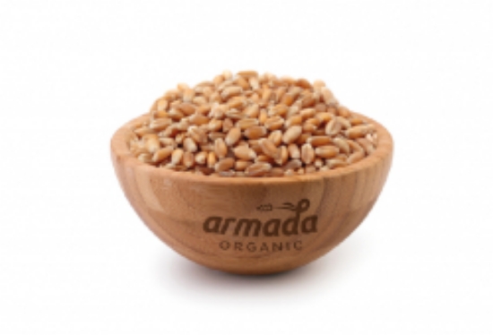 Picture of Armada Foods - Organic Wheat