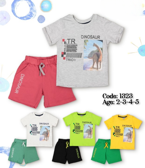 Picture of Boy's T-Shirt & Short Sets 2 Pcs - Pistachio