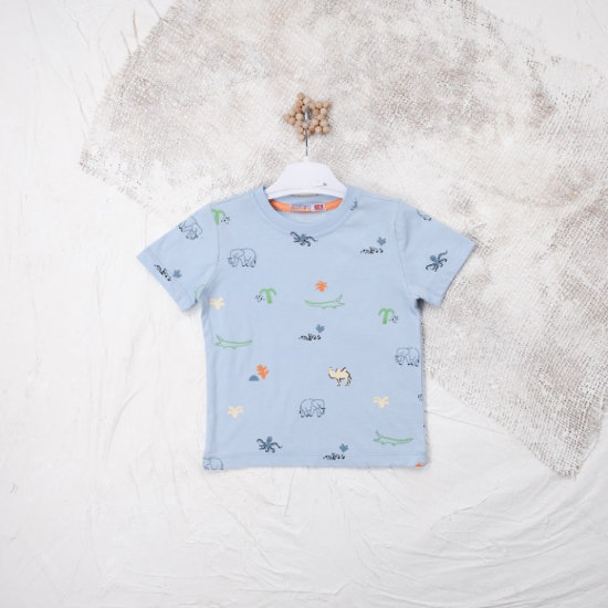 Picture of Boy's T-Shirt - Mint