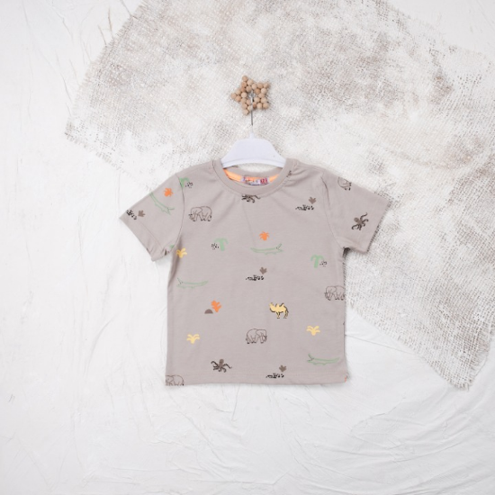 Picture of Boy's T-Shirt - Grey